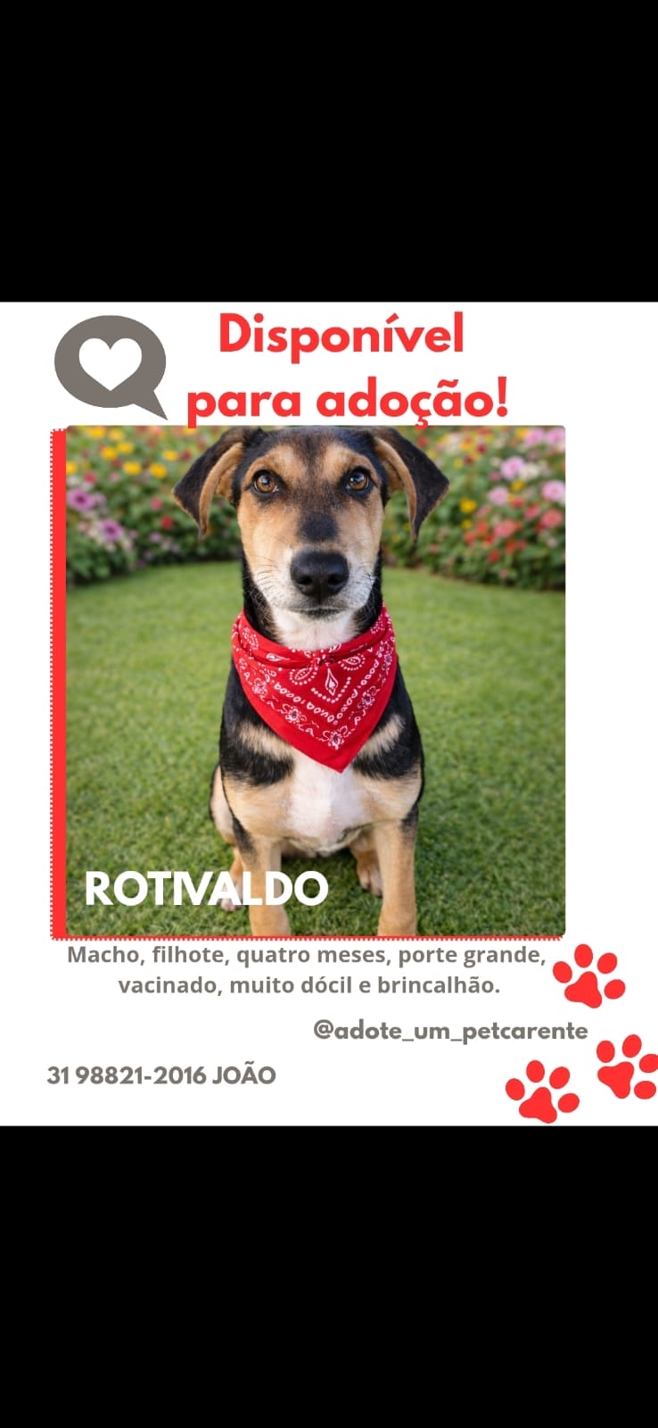 ROTIVALDO1